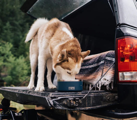 Boomer 8 Dog Bowl. - ENJOY THE OUTDOORS