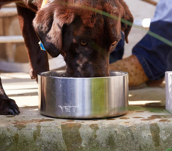 Boomer 8 Dog Bowl